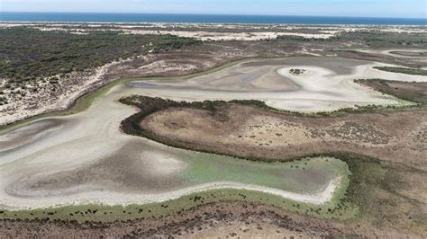 Spain’s Andalusia region will expand the Doñana wetlands park. Critics applaud but want more action